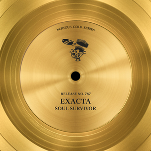 Soul Survivor (Alex Seda Remix)