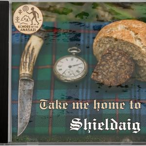 The yurt under the Northern lights