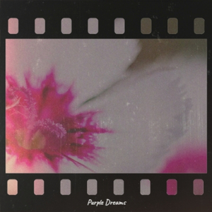 Purple Dreams