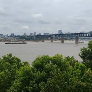 听闻爱情十有九悲