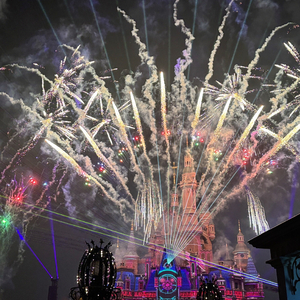 玫瑰不用长高 爱她的人自会为她弯腰