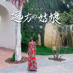 远方的姑娘 (DJ沈念版)