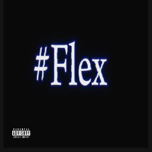 FLEX (feat. okjæ!)