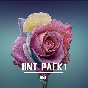 LZ轮子-爱的回归线 （JINT remix）