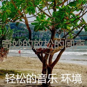 精彩放松的环境