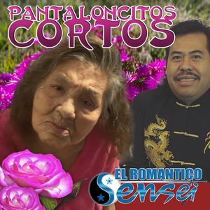 Pantaloncitos Cortos