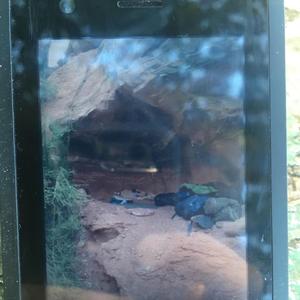 how much time is left