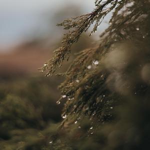 古风山水 流水落花春去也