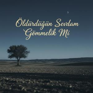 Öldürdüğün Sevdam Gömmelik mi