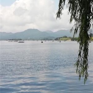 浮生不过梦一场