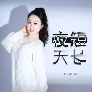 夜短天长（DJ月之歌版）