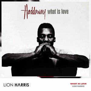 What Is Love (LION HARRIS Remix)