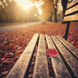 入了心的人一生惦记