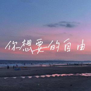 你想要的自由