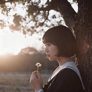 晚风亭