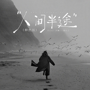 人间半途 (释然版)