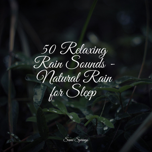 Soothing Beach Ambience (Gentle Waves)