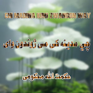 Chi Madini Ki Mi Zwandon Wai