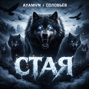 Стая