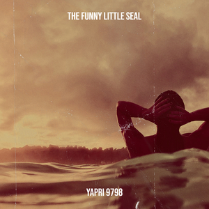The Funny Little Seal
