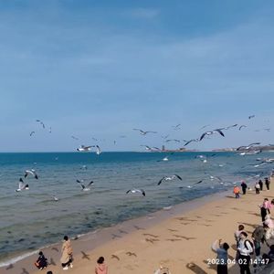 亲爱的同学（cover：茉茉天空）