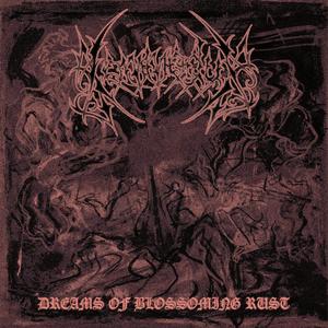 Meditations On Morning Dew