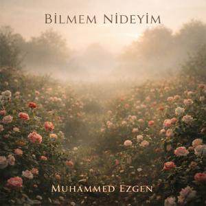 Bilmem Nideyim