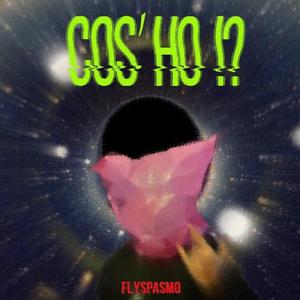 Cos'ho?!