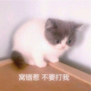 豆花之歌（翻自 Pianoboy高至豪）