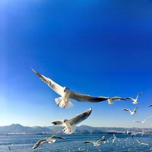 沈阳风格销魂曲