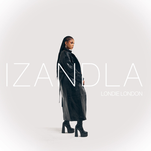 Izandla (feat. PYY Log Drum King)