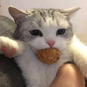 玉袋を蚊に刺された