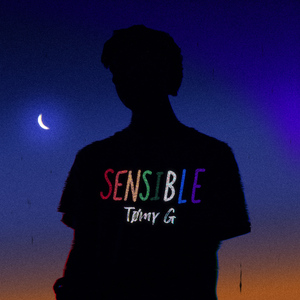 Sensible