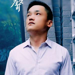 郑勇-阿郎的心声 原唱