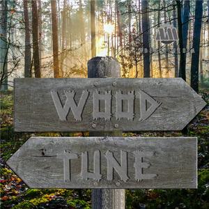 Wood Tune
