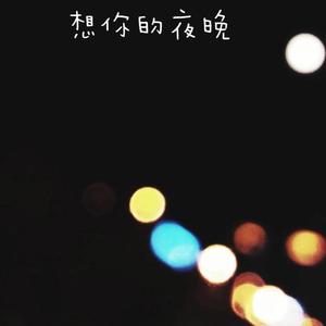 想你的夜晚