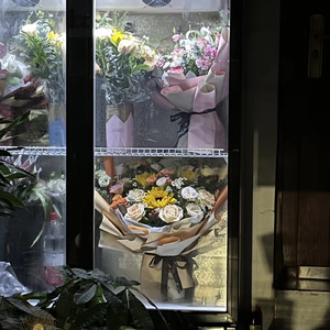 在琴房安静地画画