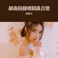 曾经心痛越南鼓版 (DJ国飞版)