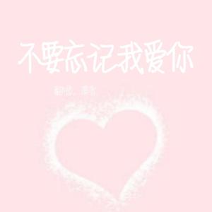 《不要忘记我爱你》
