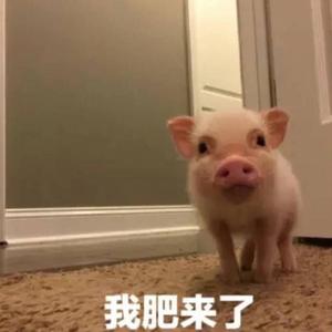 特别的人