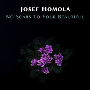 No Scars To Your Beautiful