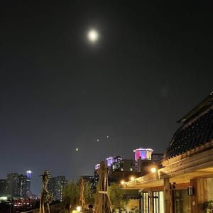 他们去了开满鲜花的地方