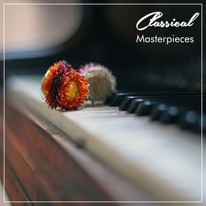 Beethoven's Sonata Waldstein Op 53 III Rondo Allegretto Moderato