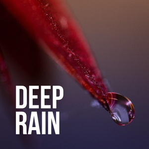 Meditate (Original Mix)