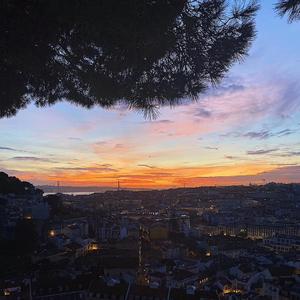 阿尔茨海默的爱