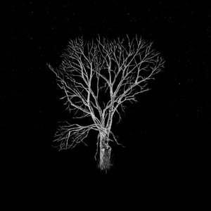 We Watch The Stars (Berlin Session)