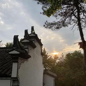 风自东南来(demo)