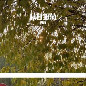 秋日雏菊 ft自卑说唱教父（prod.by Morrow ）