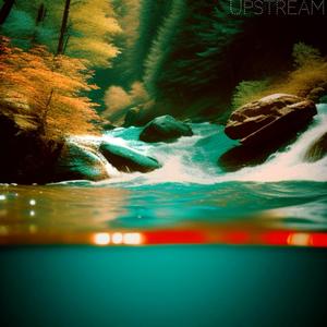 Upstream