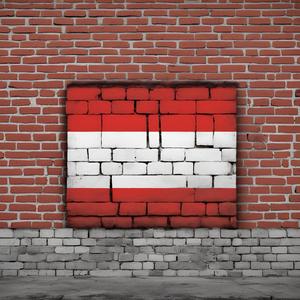 Ö.V.P. ist scheiße (Synthwave Version 2024)